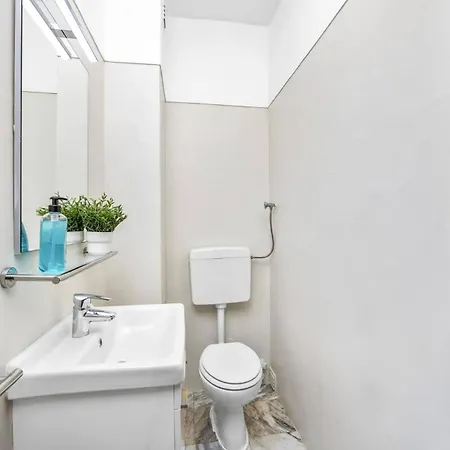 Alegre By אלבופיירה